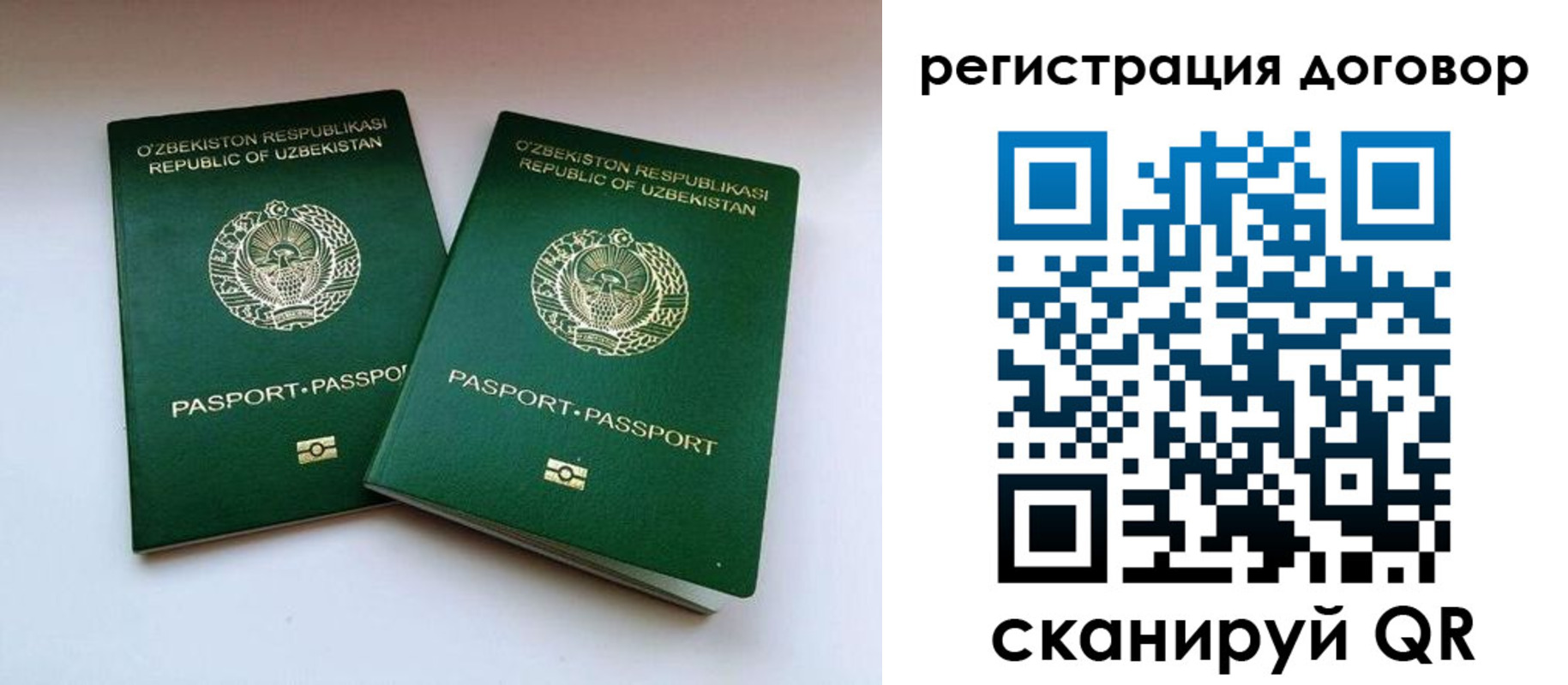 миграционный учет в Сертолово